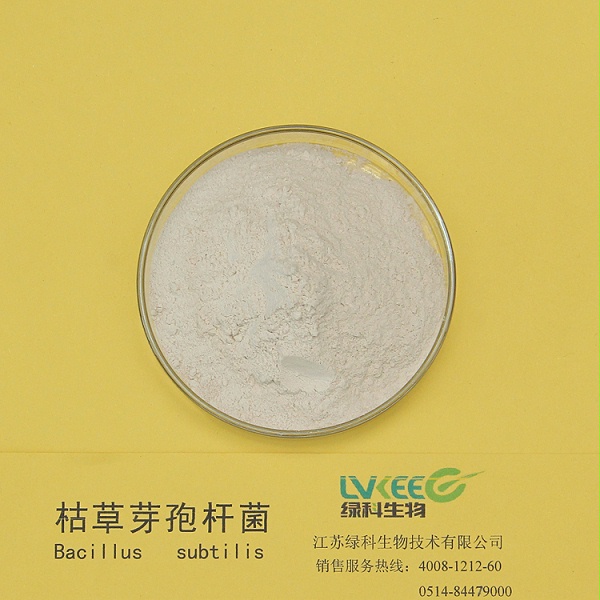枯草芽孢杆菌2
