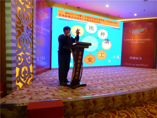 张凤祥站长讲解