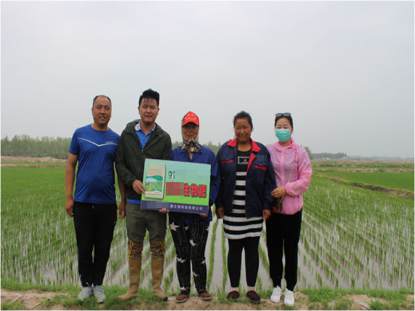 使用江苏绿科生物产品后产量提高，种植户很满意