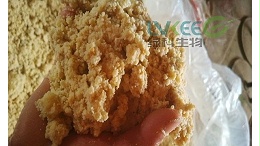 生物饲料发酵剂用的好，让你经济效益翻一翻！
