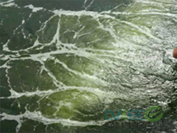 使用绿科生物产品前