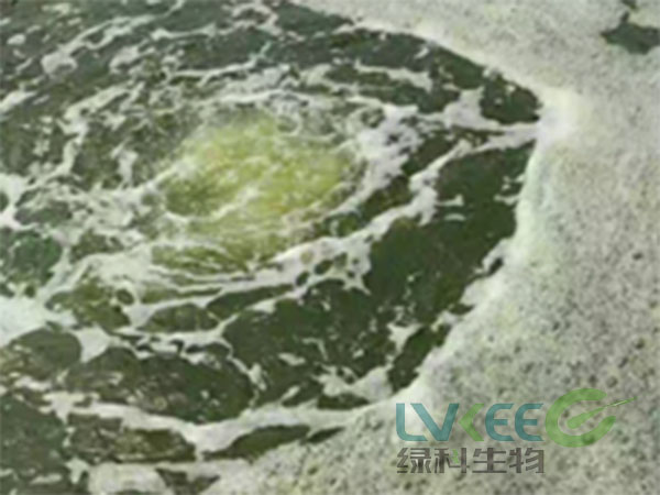 使用绿科生物产品后