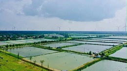 【养殖干货】春季河蟹苗种放养及养殖生产指导意见