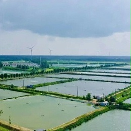 【养殖技术】春季河蟹苗种放养及养殖生产指导意见