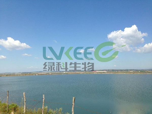 枯草芽孢杆菌应用于水产