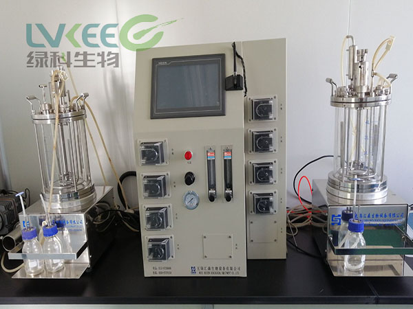 江苏绿科实验室5L小型自控发酵罐