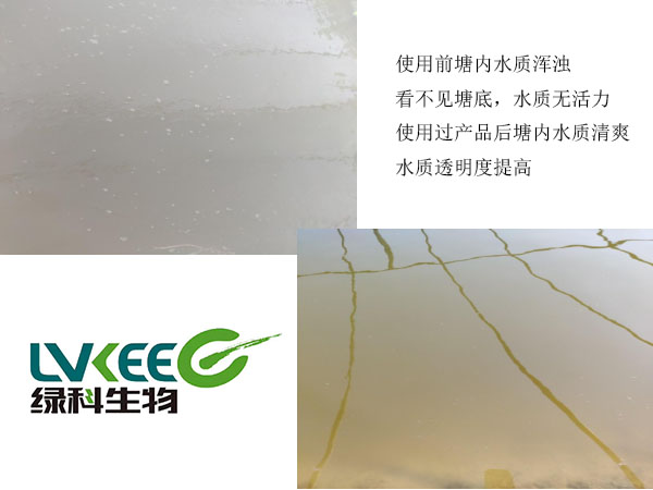 微生物制剂调水