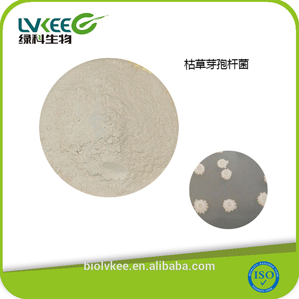 江苏绿科的枯草芽孢杆菌
