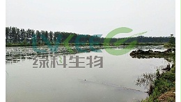 养殖虾蟹，养殖户越来越信水产微生物菌剂！