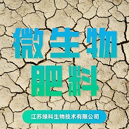 菌肥的秘密是万金油，啥都能干，你知道吗？