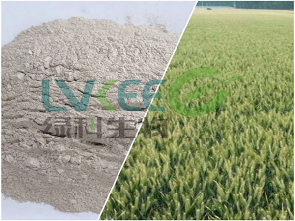 枯草芽孢杆菌误区