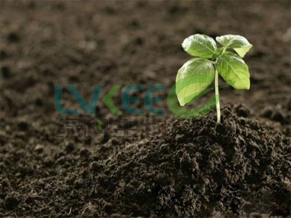 使用过枯草芽孢杆菌的土壤