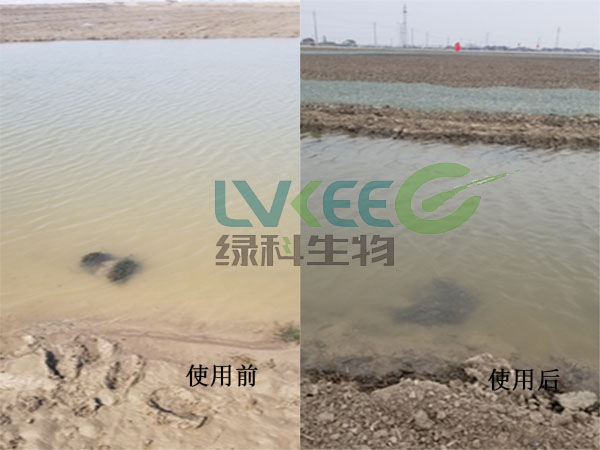 亚硝酸盐偏高处理前后