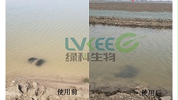 一招教你怎么解决亚硝酸盐过高的问题?