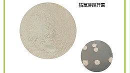 枯草芽孢用量少防效好，增产又增收！