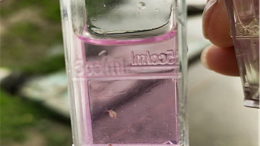 鲫鱼塘口亚硝酸盐高吃料差处理案例