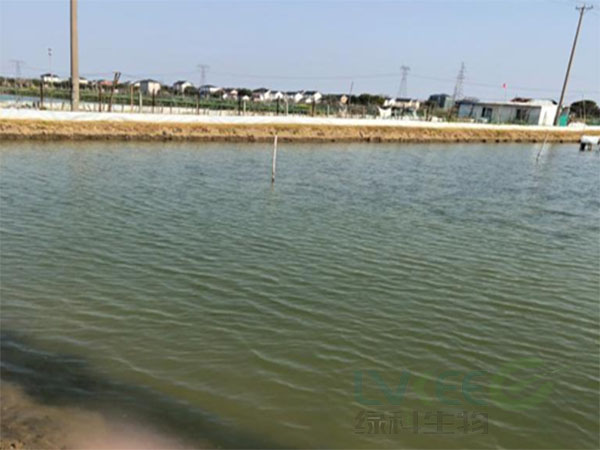 复合益水菌调水净水