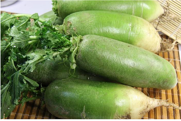 使用过江苏绿科的产品种植的新鲜萝卜