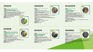 你们产品里面有那么多菌，能起到什么作用？