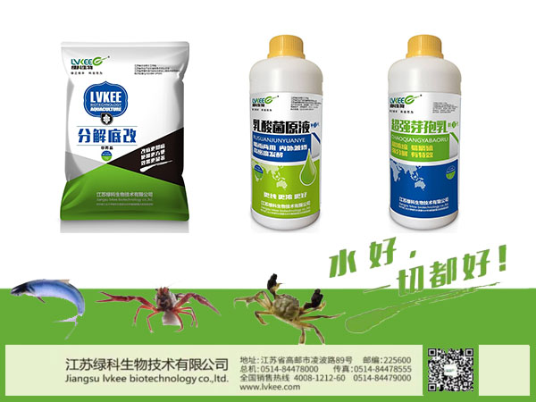 水色浑浊、透明度低产品搭配