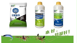 河蟹塘水体白浊浑没有想象中那么难！