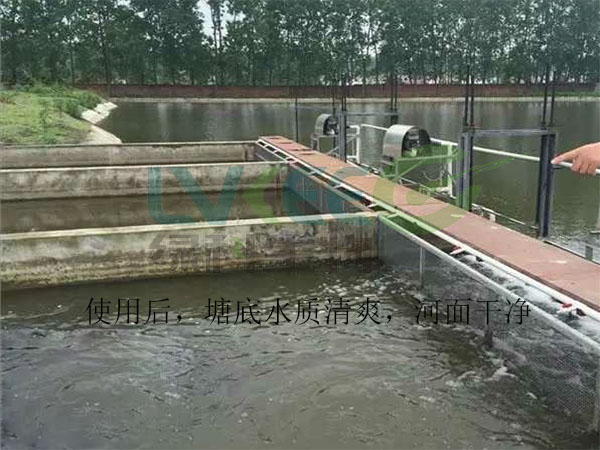 处理好的甲鱼塘口