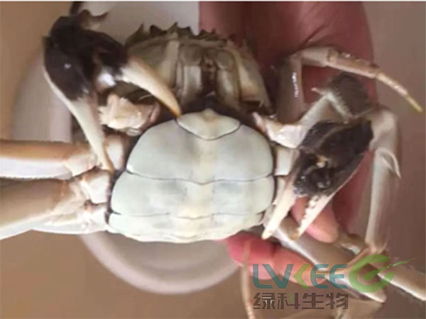 改底工作黑锈基本清除