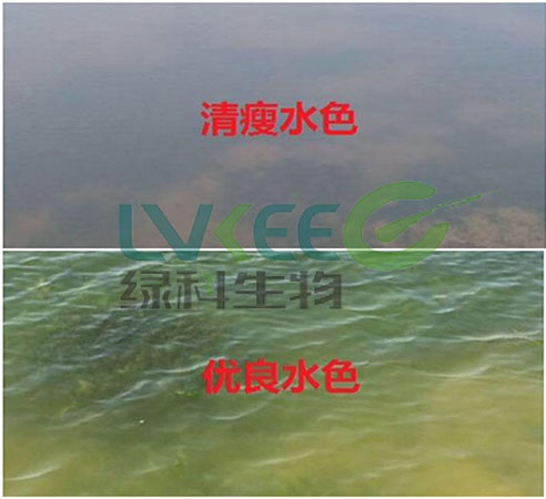 绿科水产养殖图片