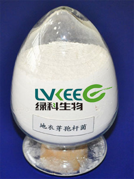 地衣芽孢杆菌