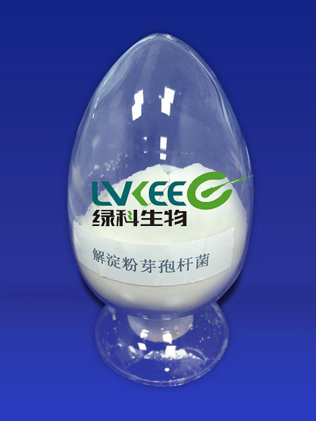 解淀粉芽孢杆菌