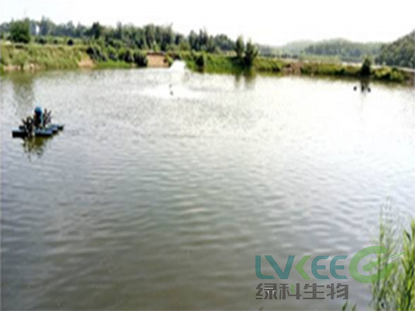 对虾泡沫多处理后