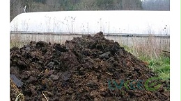 畜禽粪便做有机肥有腐熟的必要吗?