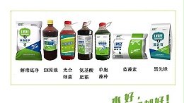 虾池蓝藻太讨厌，对付蓝藻办法看这里！