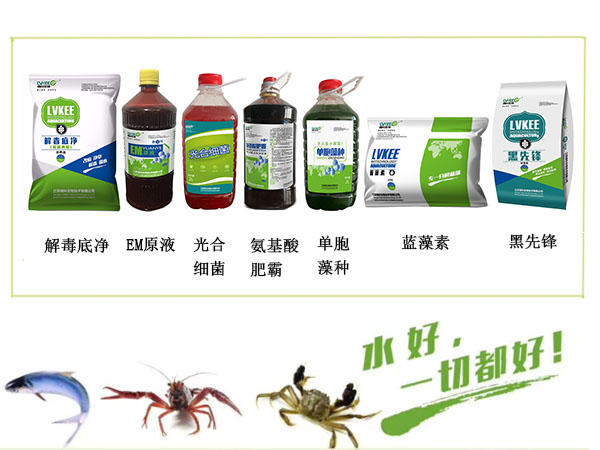 蓝藻爆发绿科处理方案