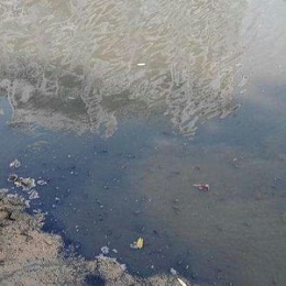 如何处理水体发黑问题