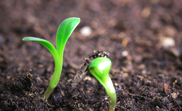 微信图片_20210809151108