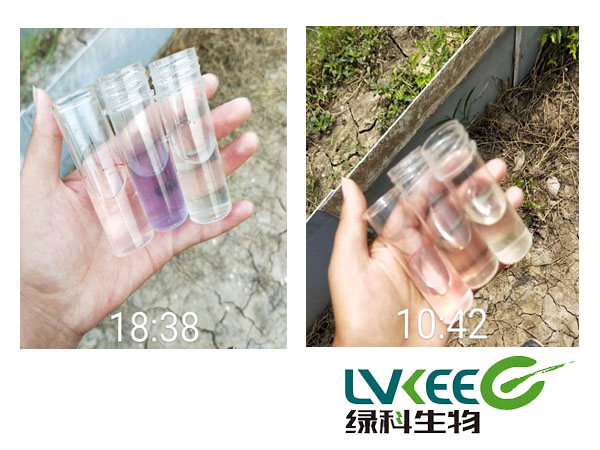 河蟹软壳为处理后