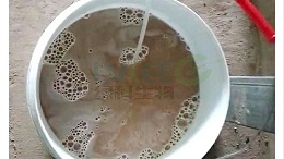 为什么微生物要菌活化后使用？