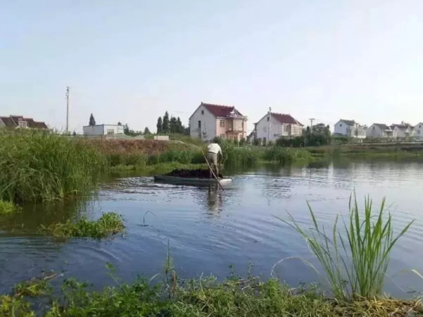 施发酵好的有机肥