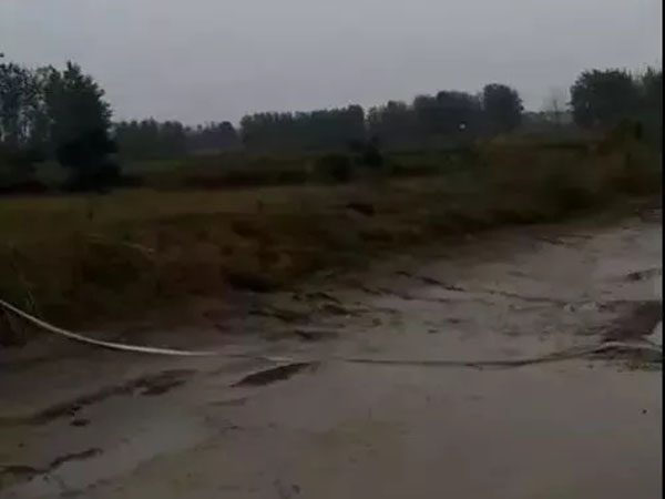 底部的淤泥过厚的池塘