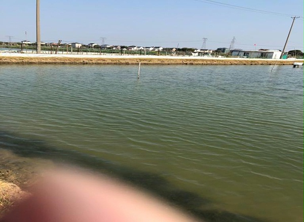 be3319e678f045c9b607fc959035289