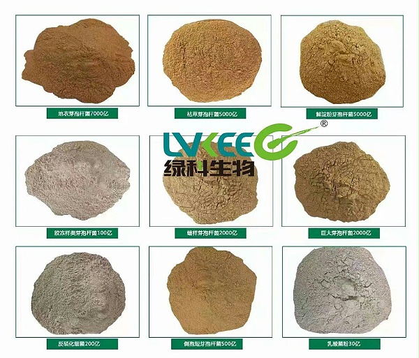 微信图片_20211129085234