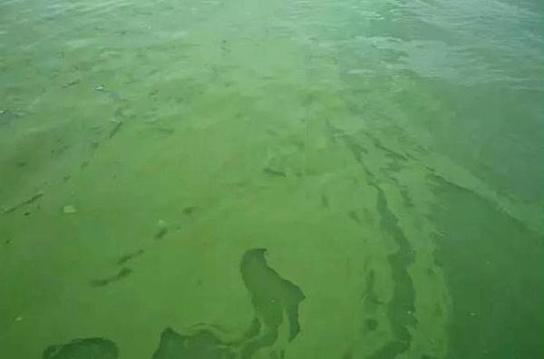 src=http___p5.itc.cn_q_70_images03_20210731_080e96295c1446dba5f753b16e714e30.png&refer=http___p5.itc