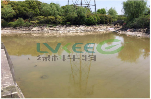 未使用过江苏绿科生物的环保菌剂水质量2