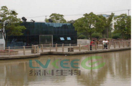 未使用过江苏绿科生物的环保菌剂水质量1