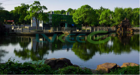 使用过江苏绿科生物的环保菌剂后的效果图1