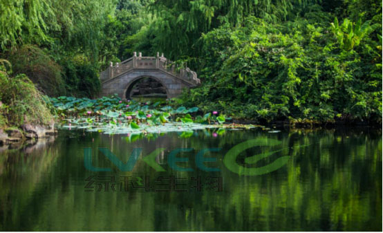 使用过江苏绿科生物的环保菌剂后的效果图2