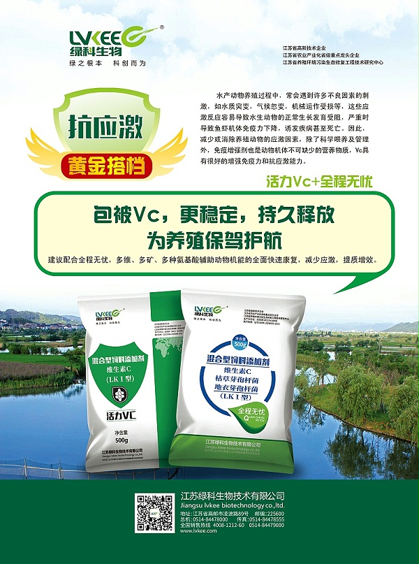 抗应激黄金搭档