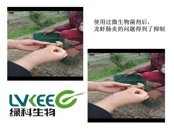 肠炎处理后图片