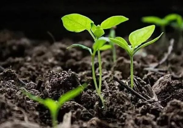 微信截图_20210821090113